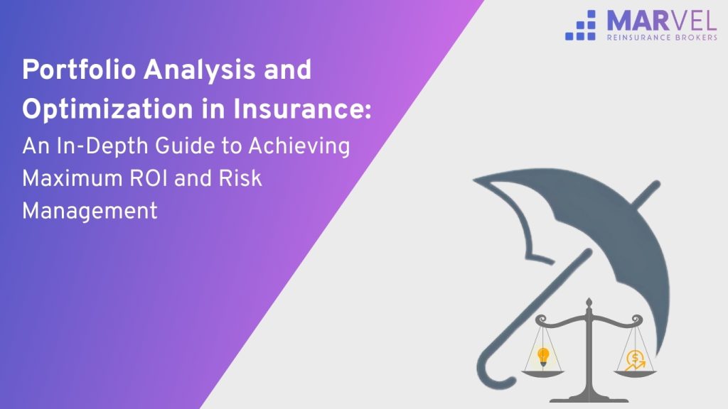 Portfolio Analysis and Optimization in Insurance
