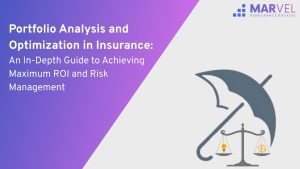 Portfolio Analysis and Optimization in Insurance