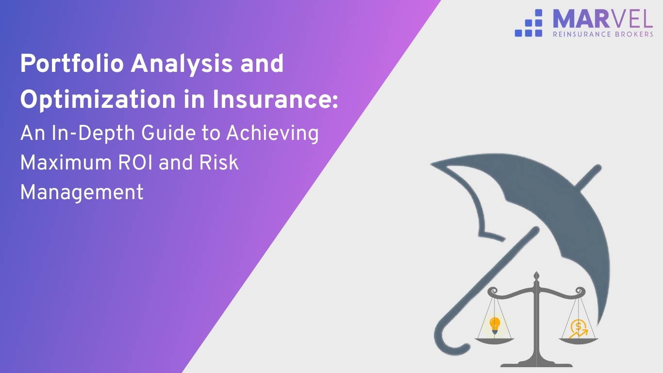 Portfolio Analysis and Optimization in Insurance
