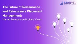 The Future of Reinsurance and Reinsurance Placement Management