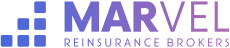 marvel services logo